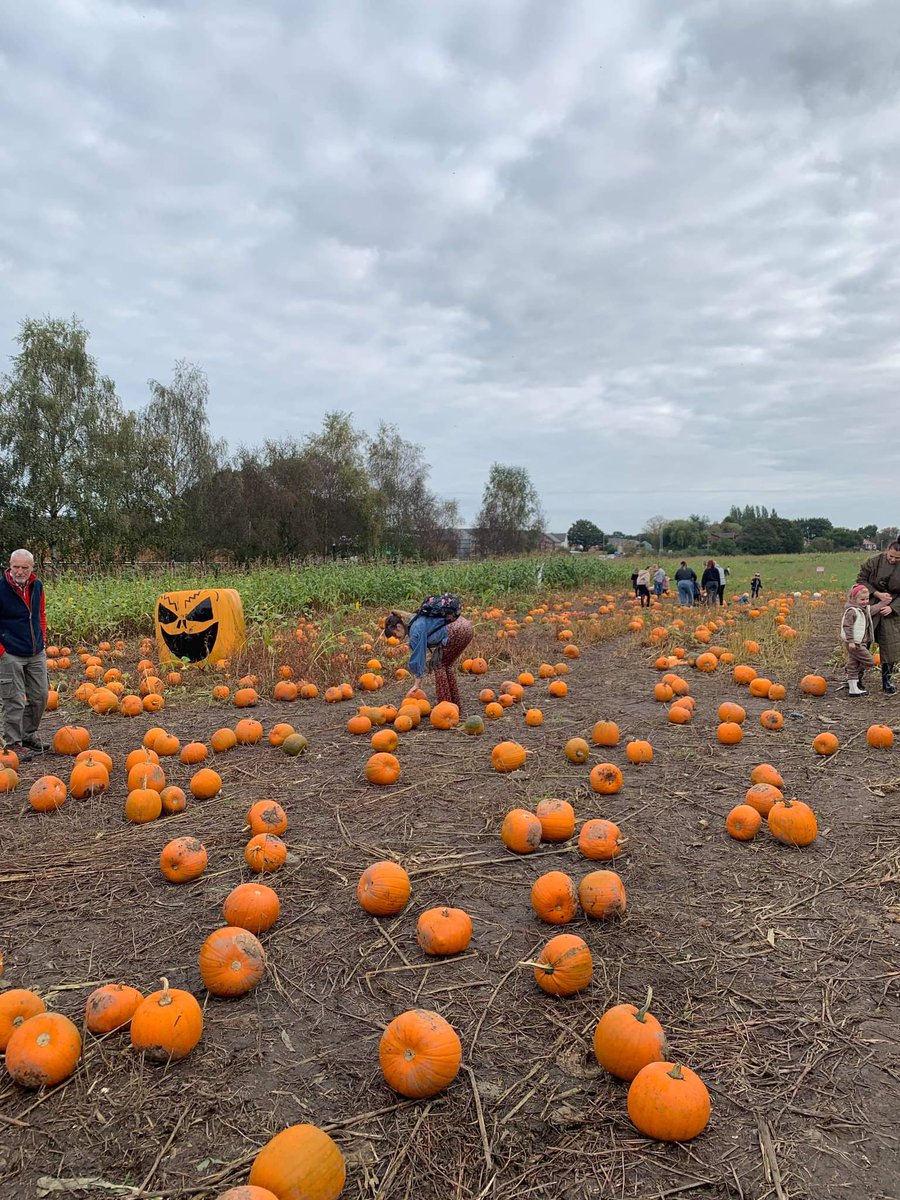 jade 🌞🍭💛 tweet media