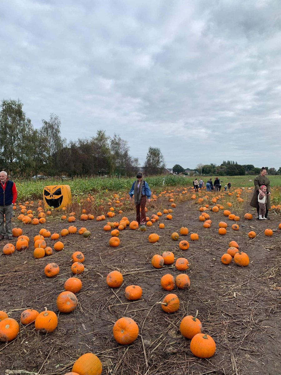 jade 🌞🍭💛 tweet media