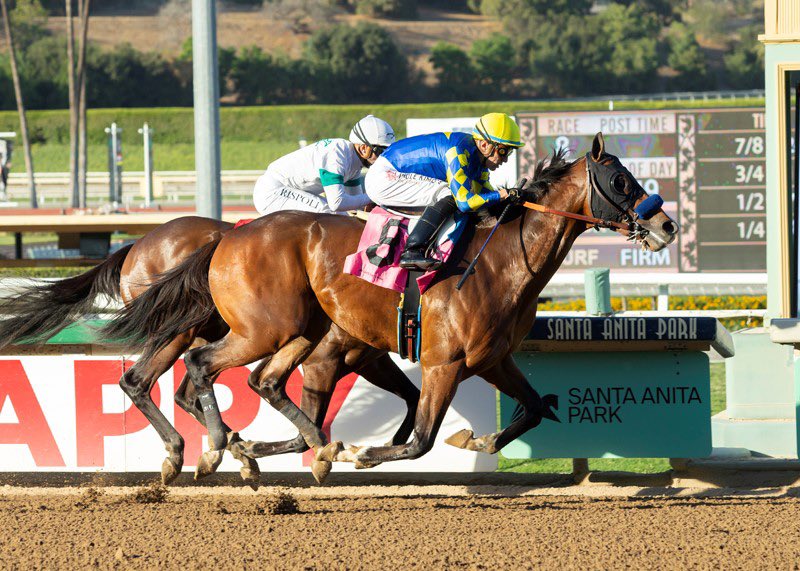 TomRyanKY's tweet photo. 87 Beyer for BAROSSA last night at the great race place - @santaanitapark stunning into Mischief colt crying out for two turns. This colt has a pretty high opinion of himself. Great to see him belly down and fight last night. He continues to improve with maturity @BobBaffert https://t.co/uczEodLXvk