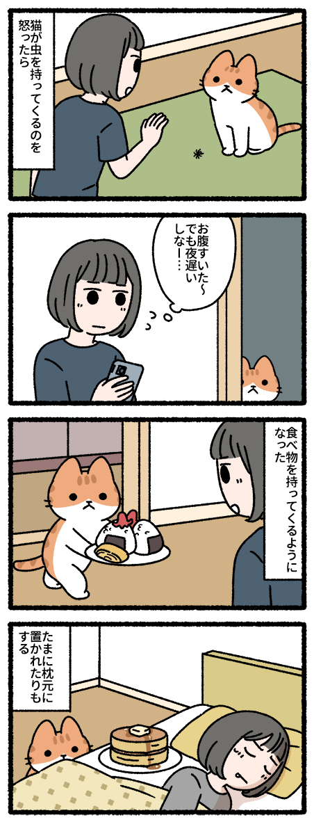 夜食を持ってくる猫 