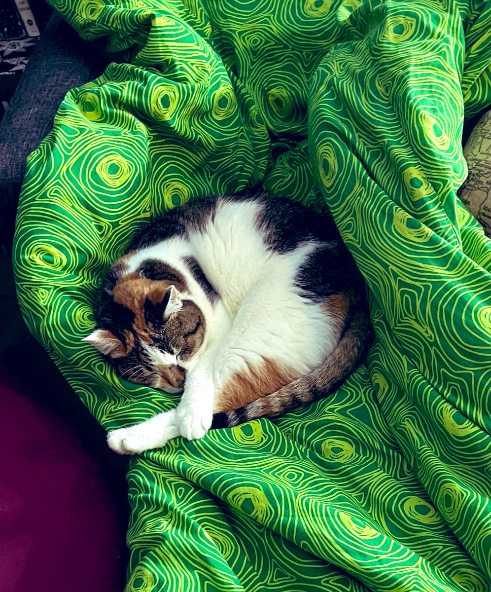 iamcaat1's tweet photo. https://t.co/Uz6ZuhMTGc