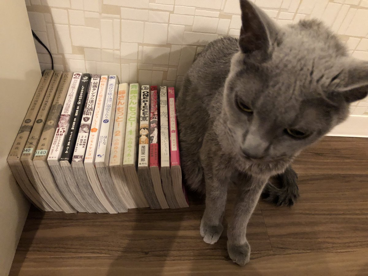 斉藤さんもっと Twitter Search Twitter 斉藤さんもっと Twitter Search Twitter