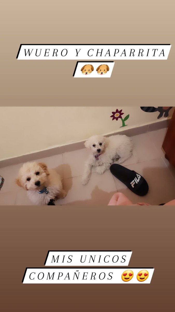 Jessica luna twitter