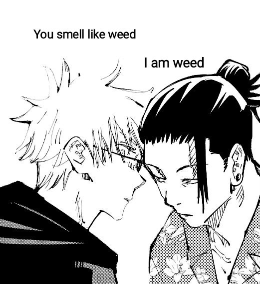 Y'all are wrong it's them 