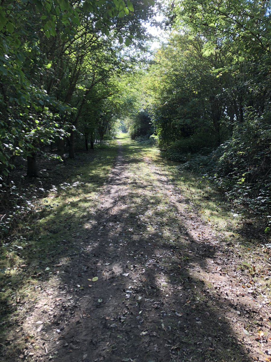 Dave Worthington 🥃💙 tweet media