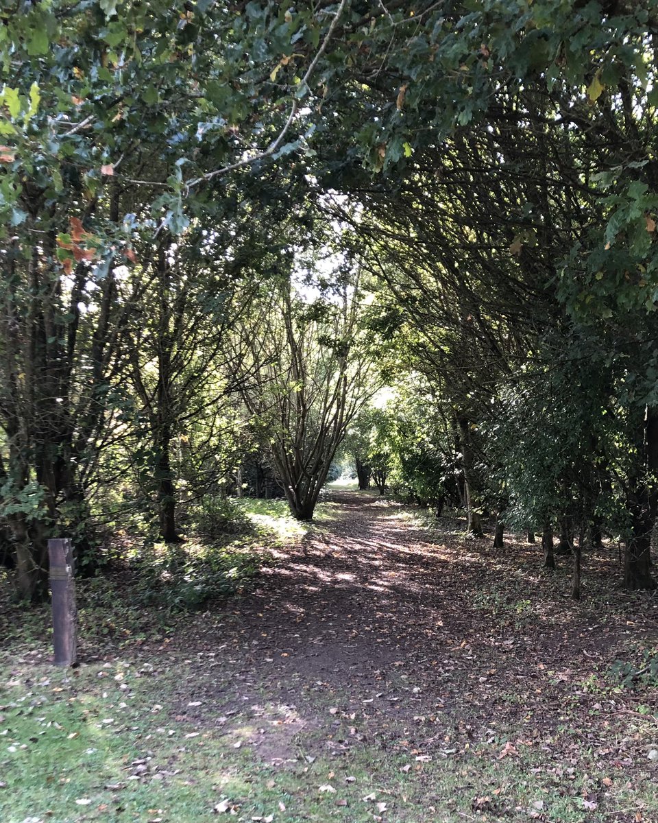 Dave Worthington 🥃💙 tweet media