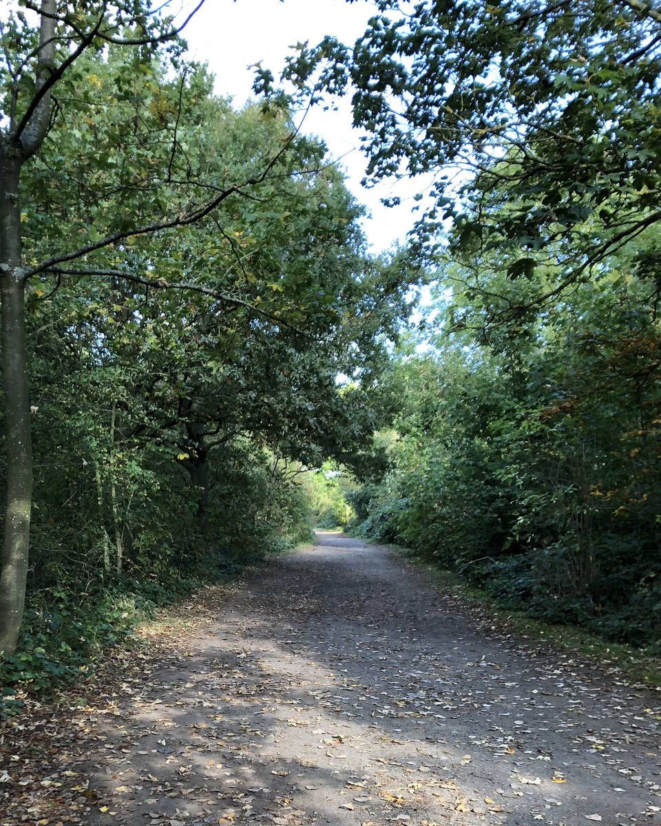 Dave Worthington 🥃💙 tweet media