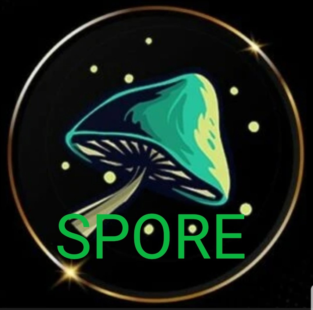 A1Mccoy1122's tweet photo. @avalancheavax @MetaMask #Sporefinance 🍄 $SPORE 🍄
@avalancheavax #AVAX 
@pangolindex #avalanchenft
🔥🔥🔥🚀🚀🚀🌕🍄🍄🍄🍄 https://t.co/BQPDoZ9UqK