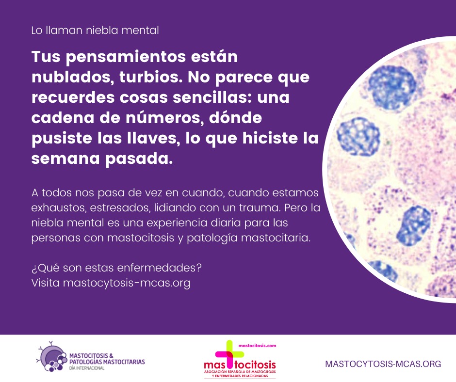 mastocitosis_es's tweet photo. Lo llaman niebla mental
#PatologíasMastocitarias #Mastocitosis
#MCDay #MCAS #mastocytosis #MCAD #HaT #KnowYourMastCells #20DeOctubre https://t.co/niz80nSlRf