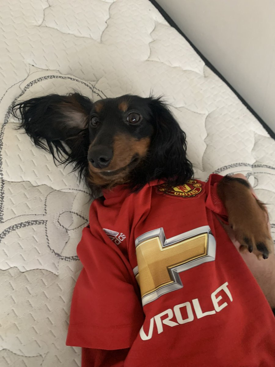 Enjoying the game! #MyPLMorning