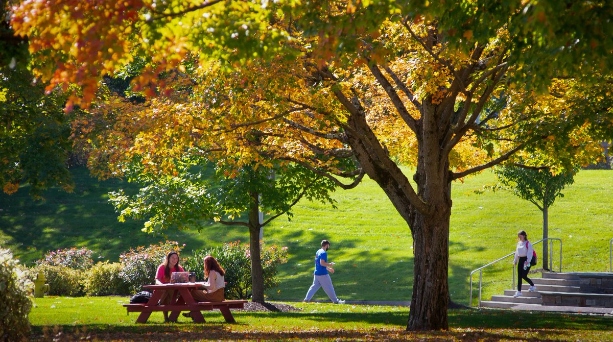sacredheartuniv's tweet photo. Another day, another perfect #SHUView 🍂🌳

#WeAreSHU https://t.co/Ukp5PfzpUI