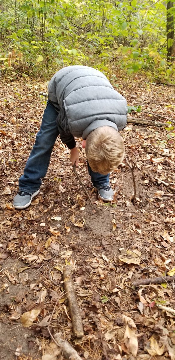 McMahonFirsties's tweet photo. These little squirrels hid their acorn for winter, but will they remember where they hid them? We will find out next week! #mcfirsties #handsonlearning #firstgradeforesters #getoutside https://t.co/7TPV9swsCB
