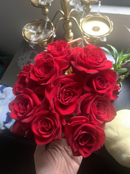 My beautiful Roses 🌹 my Wife gave me ❤️😍❤️🤍✨ https://t.co/ltQuJOjC60