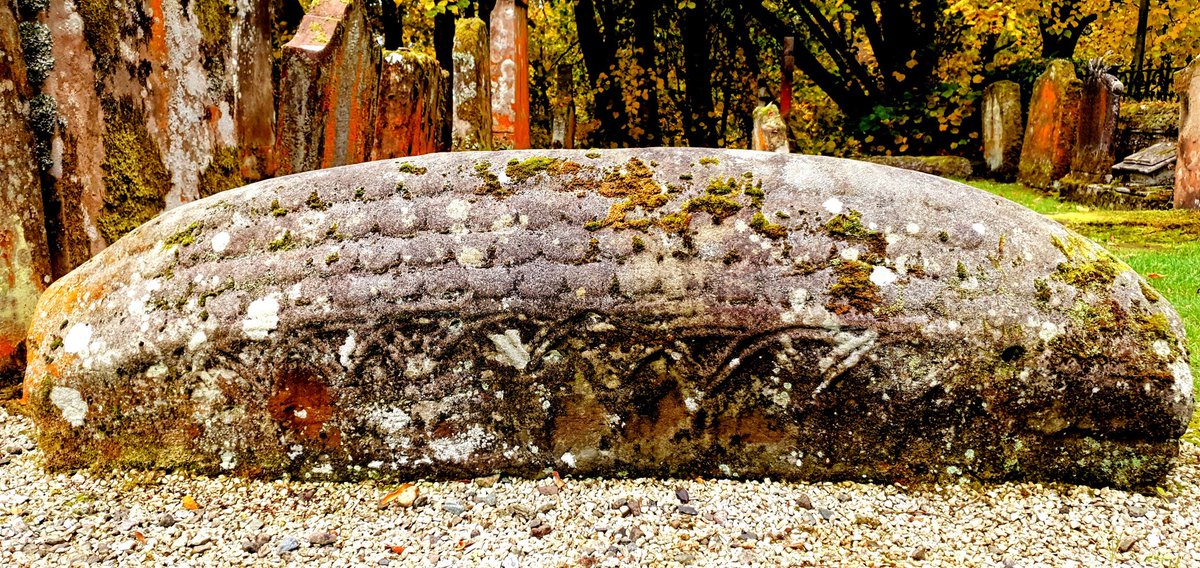 Adrián Maldonado tweet media