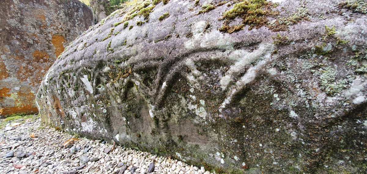 Adrián Maldonado tweet media