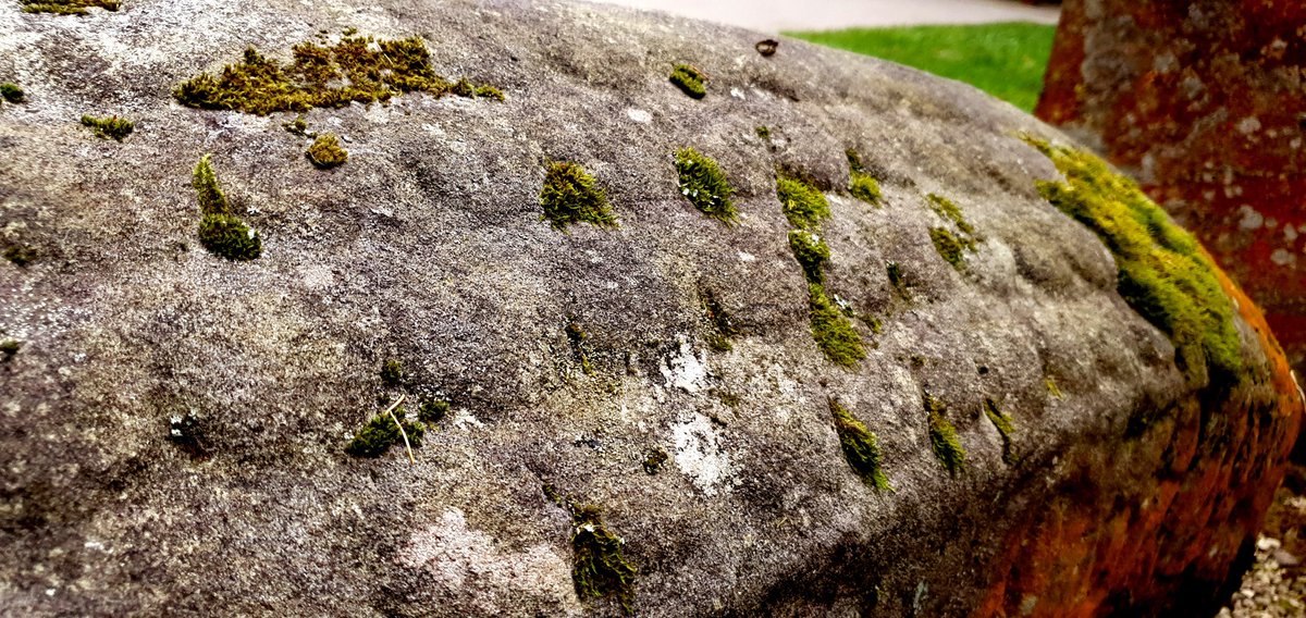 Adrián Maldonado tweet media