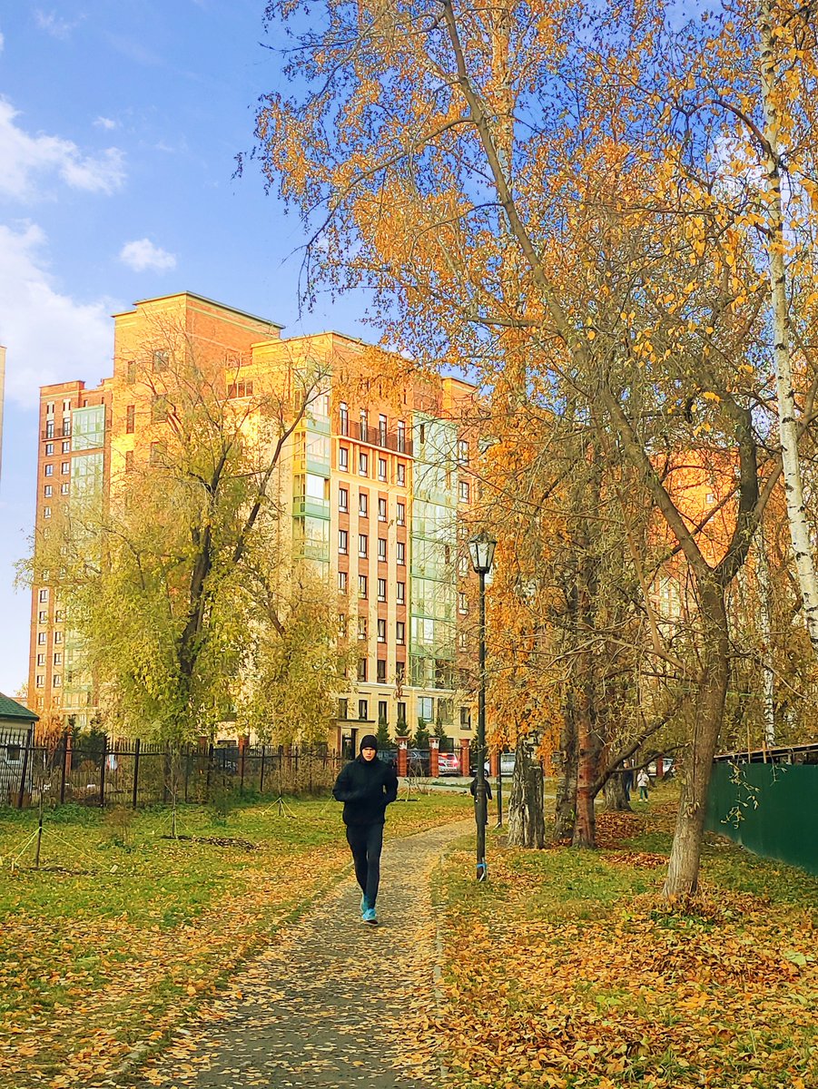 chiffrygaming's tweet image. Pretty long evening promenade📸

#PocoX3 #TheCapturedCollective
