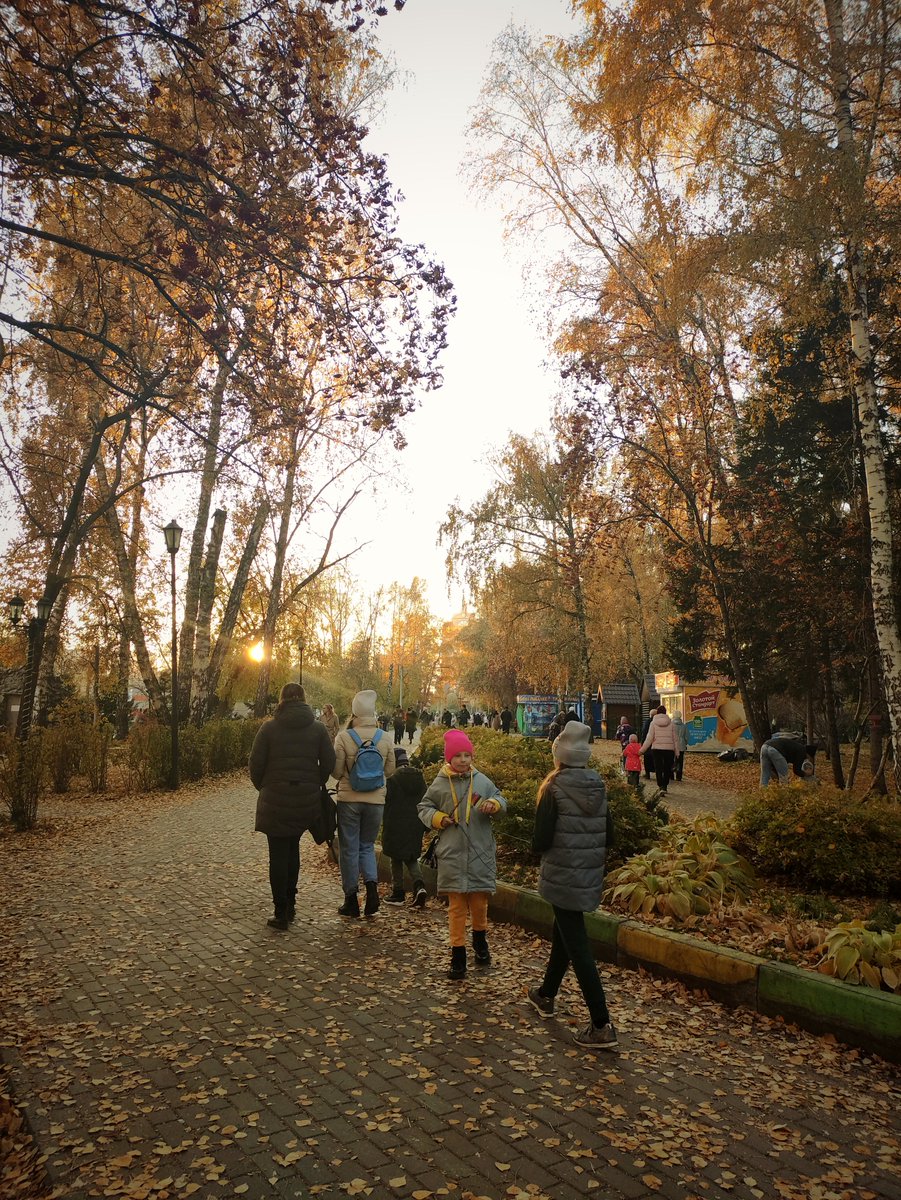 chiffrygaming's tweet image. Pretty long evening promenade📸

#PocoX3 #TheCapturedCollective