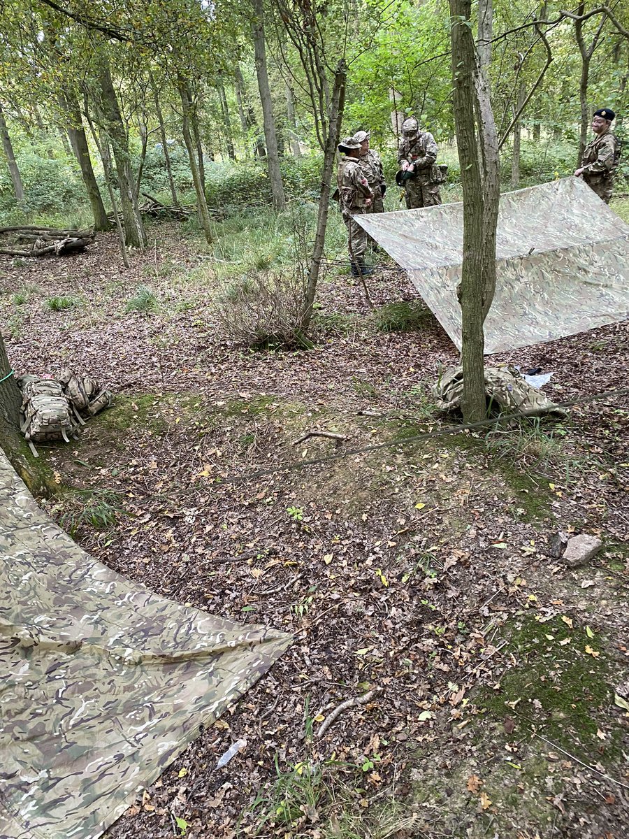 F Squadron LNR ACF tweet media
