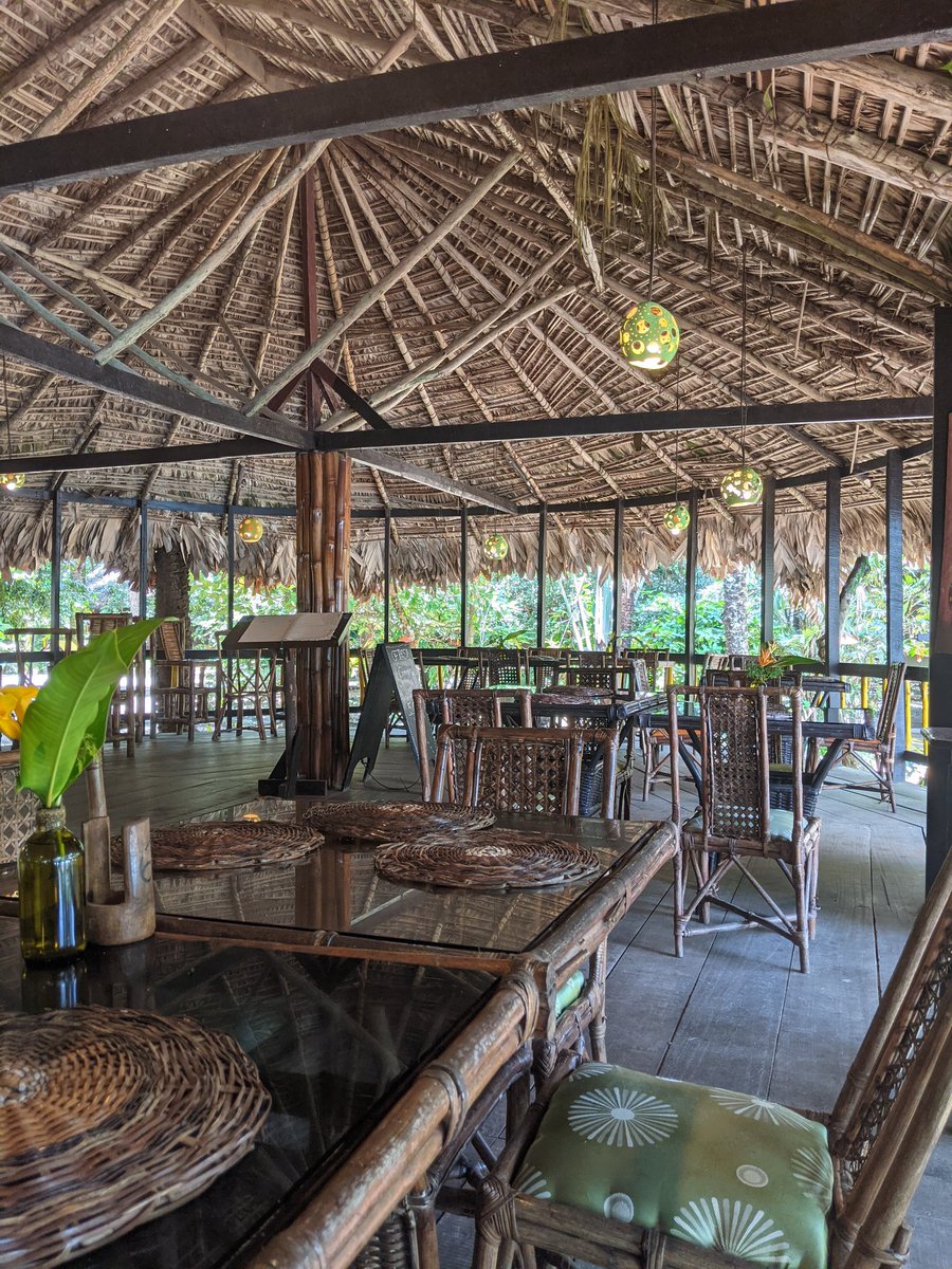 PhD_Unicorn's tweet photo. Quick overnight trip to Libassa Ecolodge for a little R&amp;R before heading to Ghana to do some fieldwork on our forthcoming edited book, Ordinary Women, Extraordinary Lives: Women's Contribution to Development in West Africa and  recruitment for the AU Graduate School. https://t.co/BEOAdFSrQA