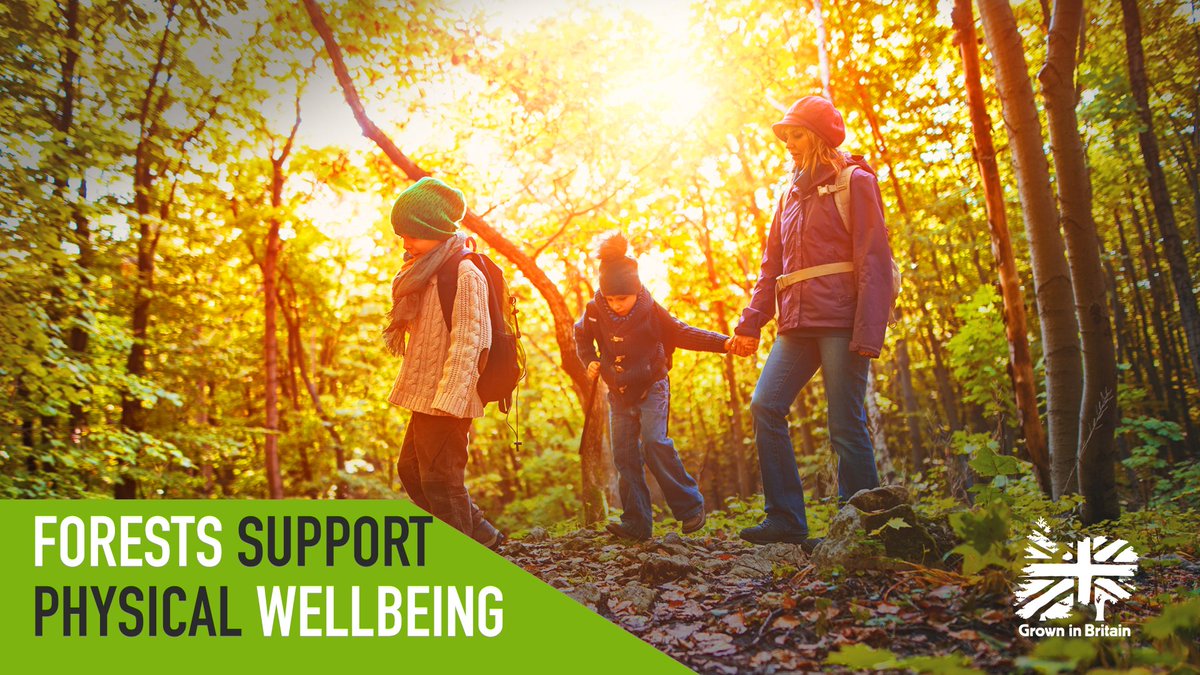 GrowninBritain's tweet photo. Accessible woodlands provide valuable recreation space, helping people stay fitter and healthier. Trees also help to clean the air, so even in urban environments trees are doing their part to keep us all healthier!
#GiBWeek2021 https://t.co/fCvZeiNvdt