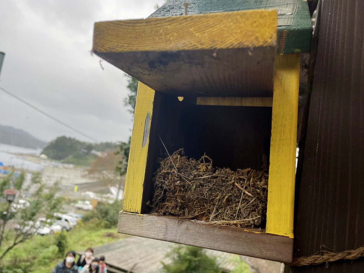 斉藤道有 東北ツリーハウス観光協会 100treehouses טוויטר