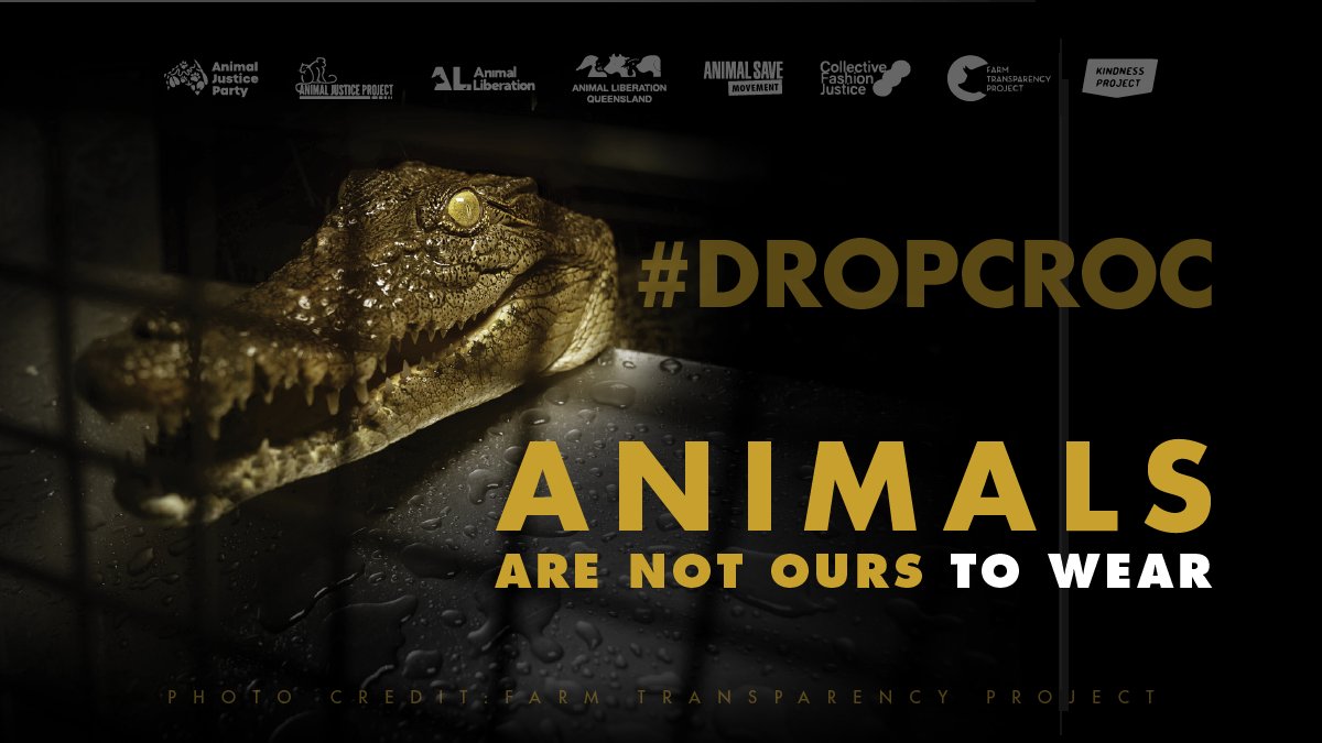ClimateSaveInd's tweet image. Please @kimkardashian, commit to kindness &amp;amp; protect precious native wildlife from factory farming &amp;amp; violent slaughter by making a pledge with Creatives4Change.

See why I'm asking: 
kindnessproject.org.au/dropcroc

@Hermes_Paris
#dropcroc