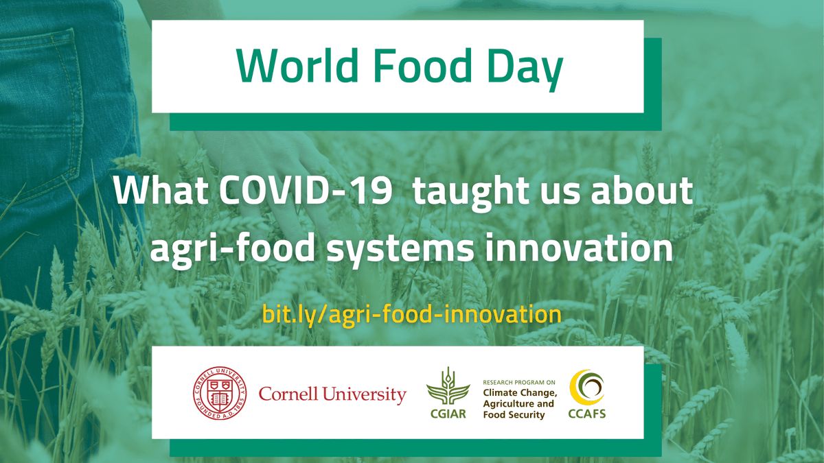 Happy #WorldFoodDay! Here are 7⃣ key lessons from the #COVID19 pandemic experience for agri-food system transformation: bit.ly/agri-food-inno… @cbb2cornell @jessfanzo  @GlobalFoodTeam @DanMasonDCroz @wooddecomp @timgbenton @rubenlawson @Food_Technology @lmsibanda
