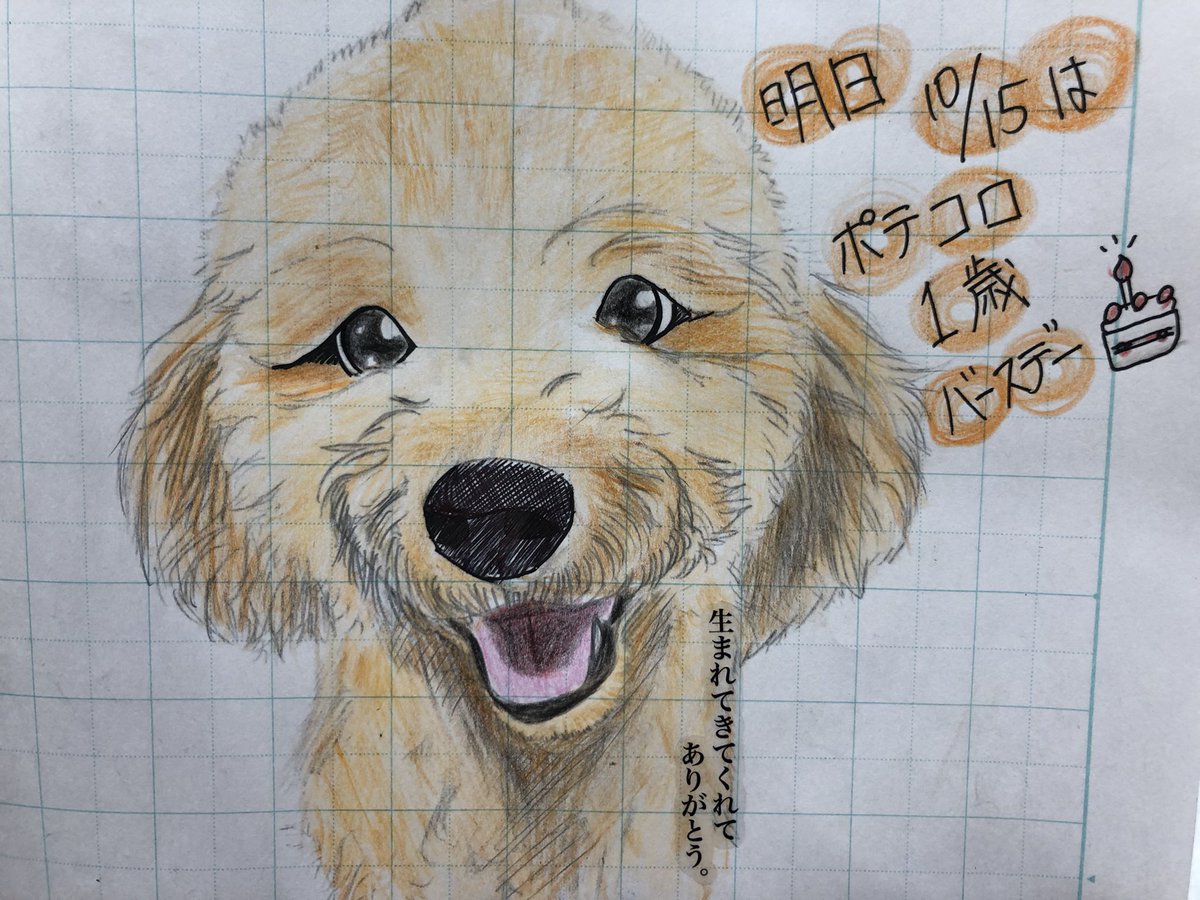 物置小屋 tweet media