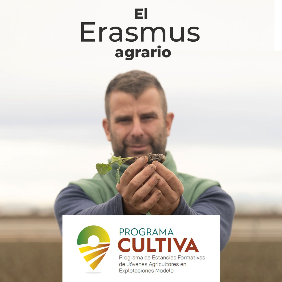 Asaja Nacional tweet media