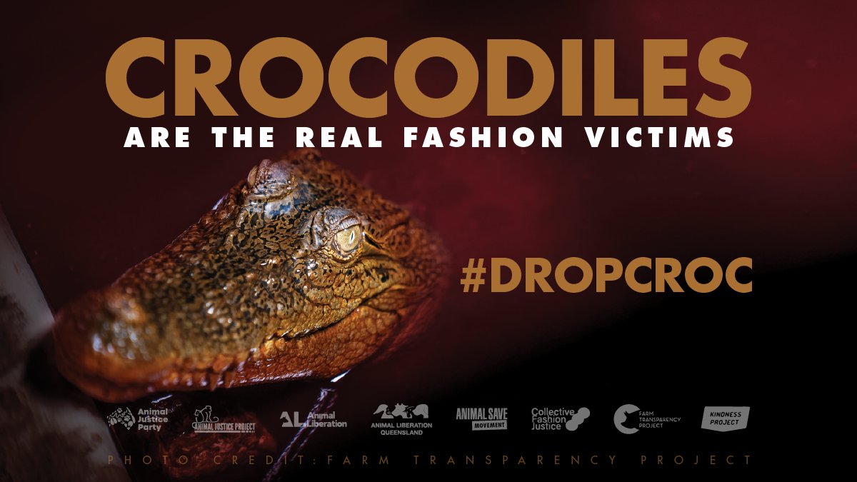 ClimateSaveInd's tweet image. I would love to see you commit to kindness by making a pledge with Creatives4Change to no longer use exotic skins @kimkardashian! 

See why I'm asking:
kindnessproject.org.au/dropcroc 

@Hermes_Paris
#dropcroc