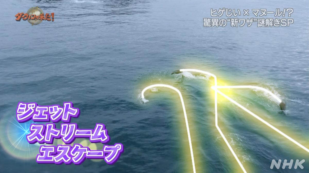 ダーウィンが来た！ on X: 