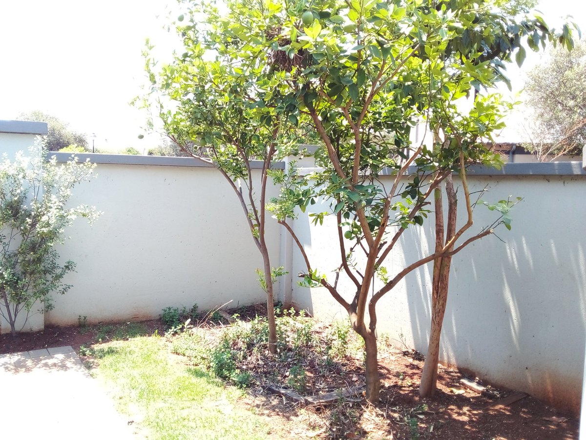 HennievanWyk2's tweet photo. Enjoy a #lifestylehouse in #MidstreamEstate. a Posh house #torent #tolease Contact me for a #viewing
#house #Estate #rental https://t.co/qPmt6BNI6O