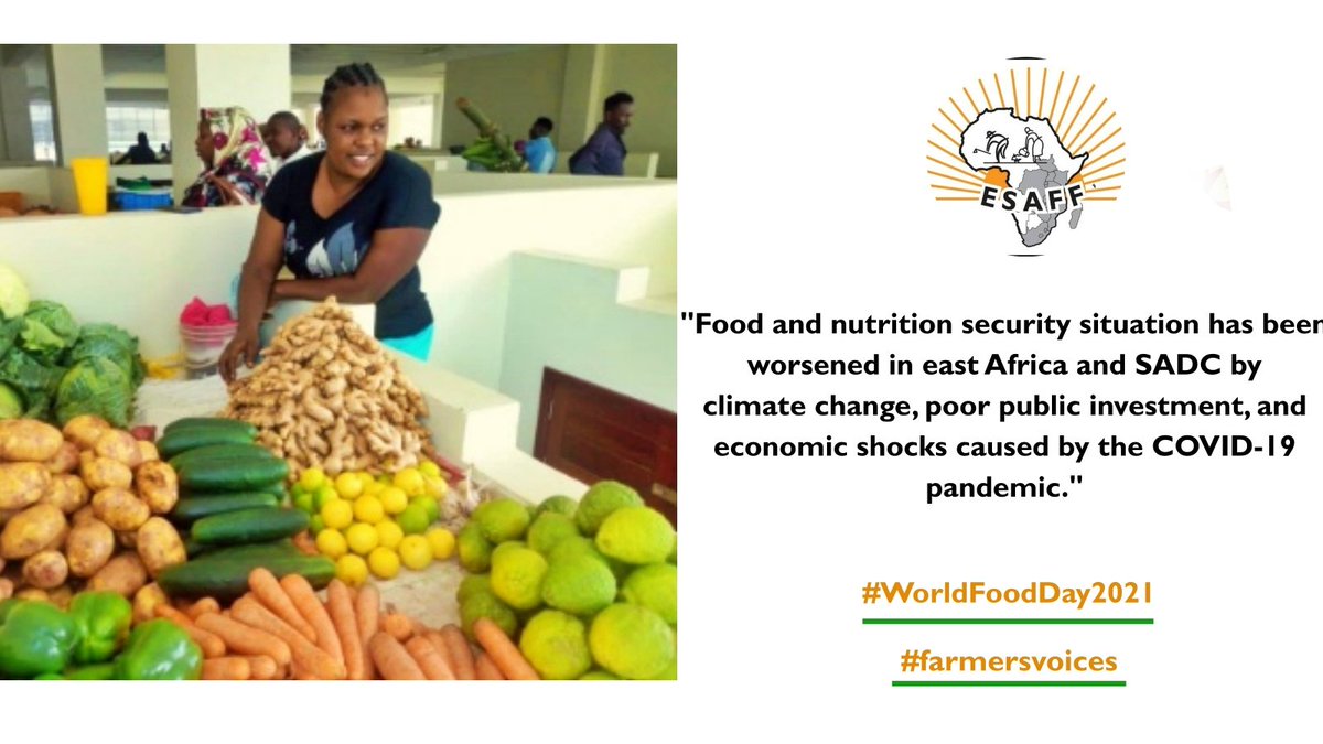 #WorldFoodDay2021 58 Million people are food insecure, #SADC must act now, <a href="/SthrnAfrcaTrust/">Southern Africa Trust</a>
read more here: bit.ly/3BPCQmC