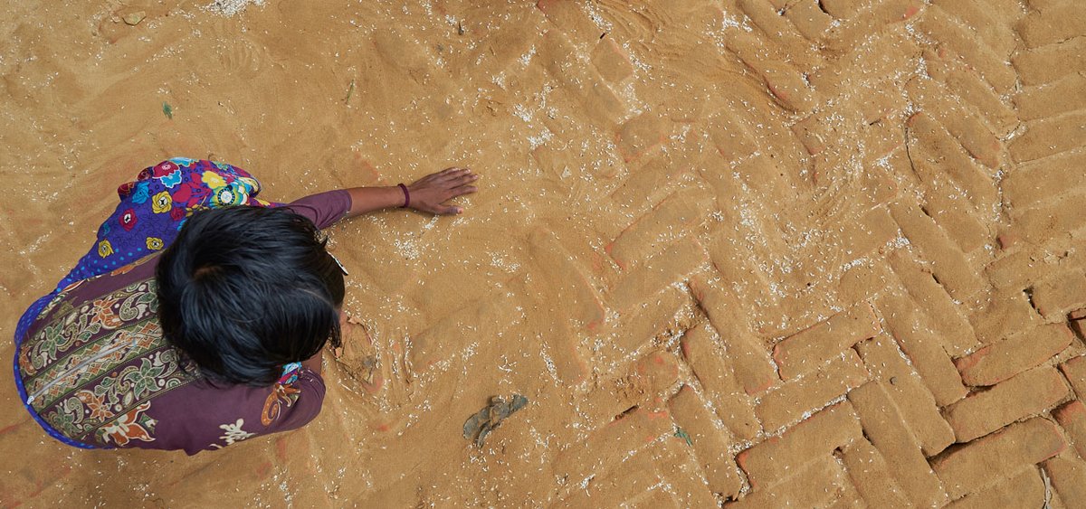 Life on Earth Pictures tweet media