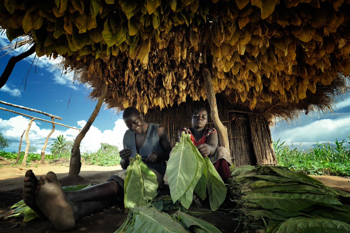 Life on Earth Pictures tweet media