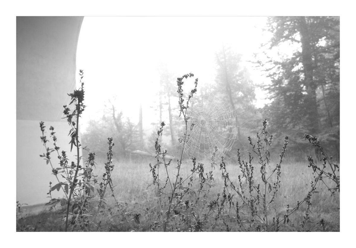 kiell's tweet photo. The unprocessed monochrome files (i.e., luminance values only, despite the Bayer filter) from the @PixiiCamera are BEAUTIFUL. https://t.co/0CInqEd95w