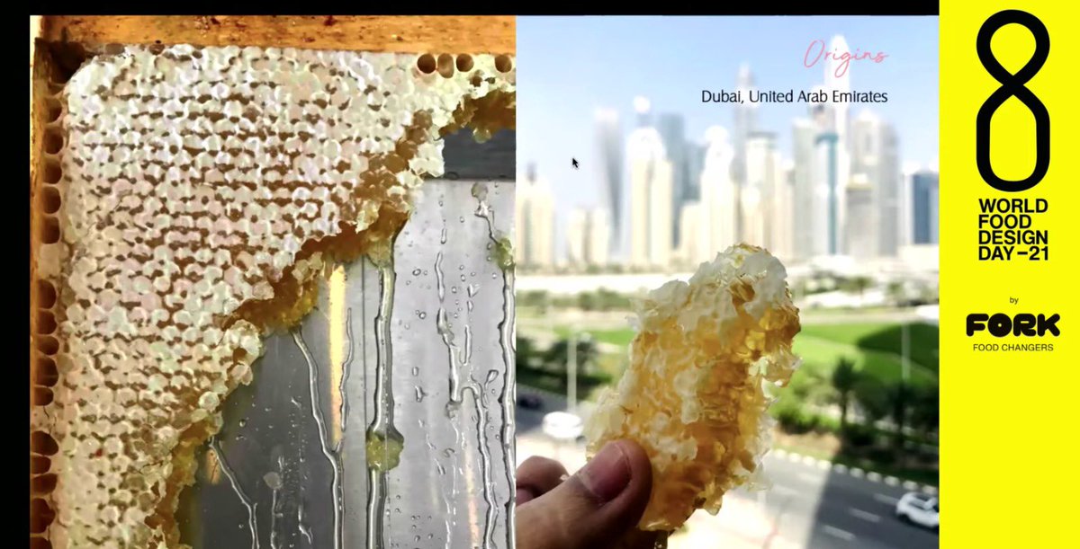 The Fork Organization tweet media