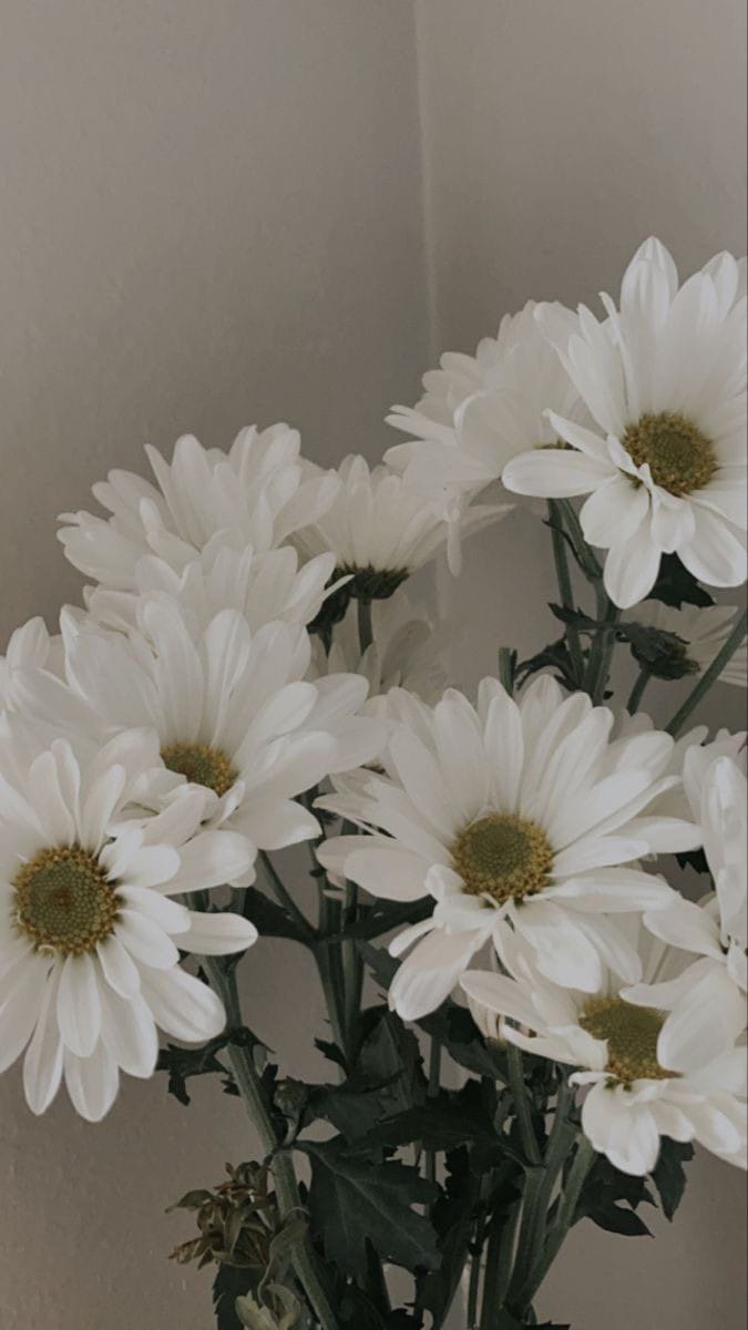 Bir çiçek dahi boynunu bükse, annemin merhametine sığınasım gelir..