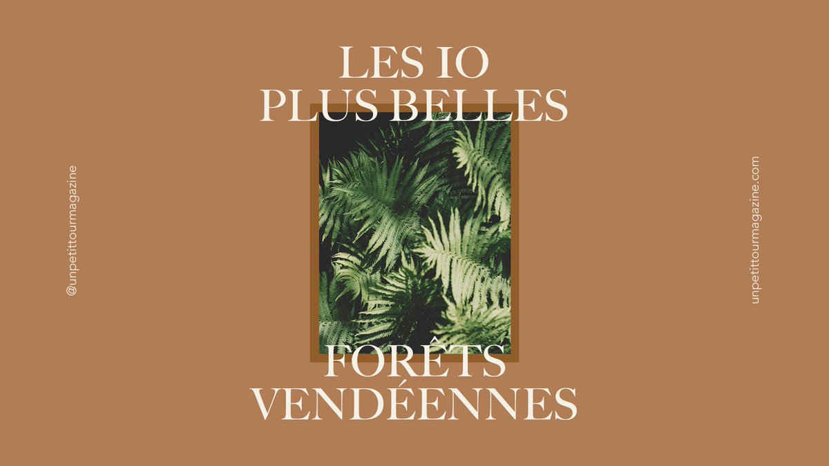 Les 10 plus belles forêts où se promener en Vendée.

unpetittourmagazine.com/escapades/les-…

#UnPetitTourEnVendee
#ForetsVendee 
#Vendee