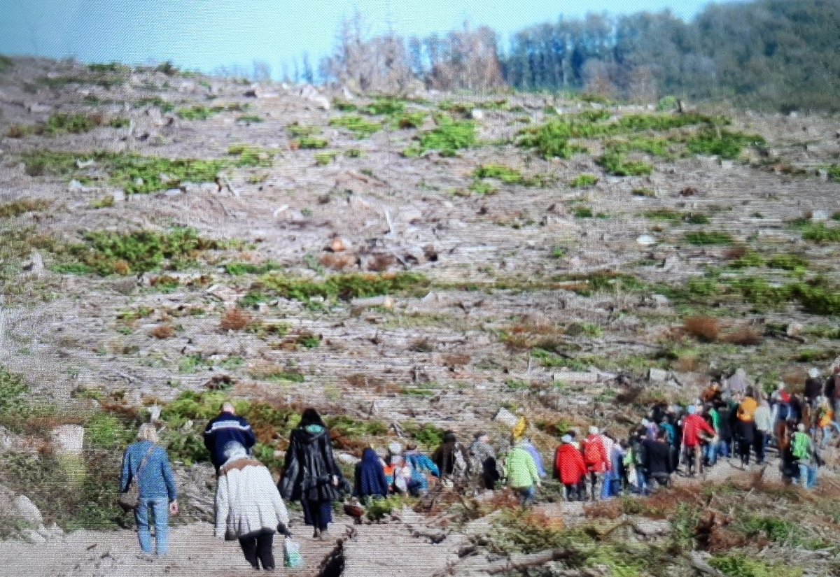 MAGuillemain's tweet photo. Aujourd'hui, on a restauré un bout de #forêt : des habitants du #Morvan ont répondu à l'Appel pour des forêts vivantes et sont venus planter des #feuillus sur une #couperase où une autre #monoculture de #douglas est prévue. https://t.co/GrfEfLNDi8