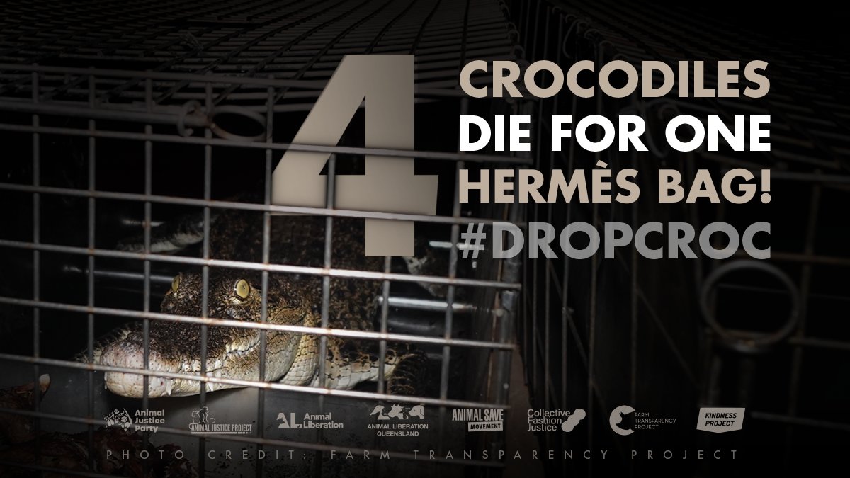 ClimateSaveInd's tweet image. Do your supporters know that your partner, @Hermes_Paris brutally slaughters crocodiles &amp;amp; keeps them in small barren concrete pens @steveguerdat?

#dropcroc