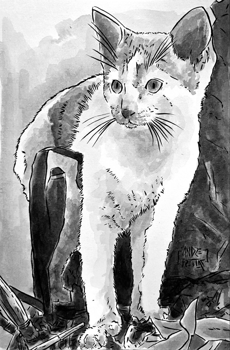yescabrita's tweet photo. #inkthorbeer dia 15: Gatos
Gatos são os animais preferidos de Freyja, e são eles que puxam sua carruagem. Matar gatos era considerado mal agouro, mas mesmo assim suas peles eram utilizadas na produção de luvas ou calçados.
#freyja #vikings #gato https://t.co/nfzDJsdCjc