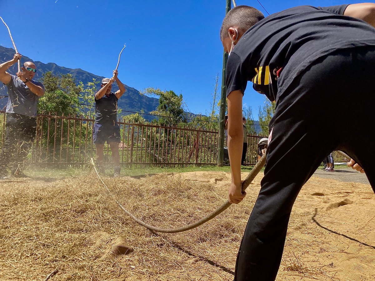 LoisMussard's tweet photo. La récolte des #lentilles touche à sa fin à #Cilaos #LaReunion  Une saison impactée par la météo et la diversification agricole… mais aussi l’ambition de développer un label qualité terroir. Reportage @reunionla1ere #jttv 19h avec @gaellemalet https://t.co/Y9sjVIdFtr