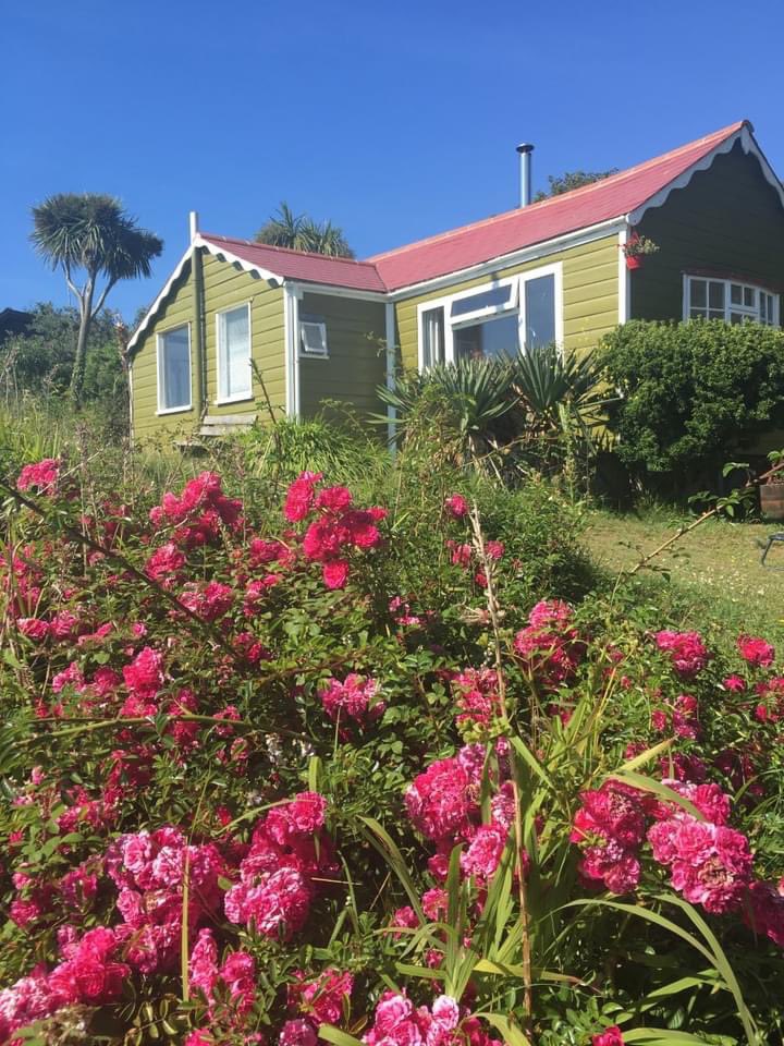 Emily Brown tweet media