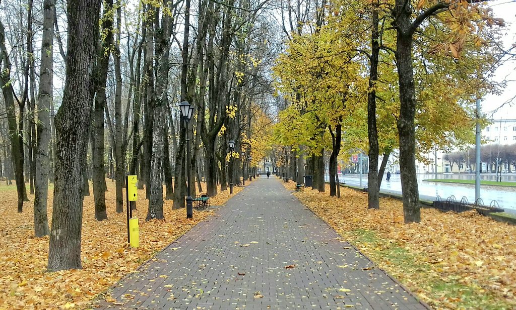 Осень в городе... #Смоленск