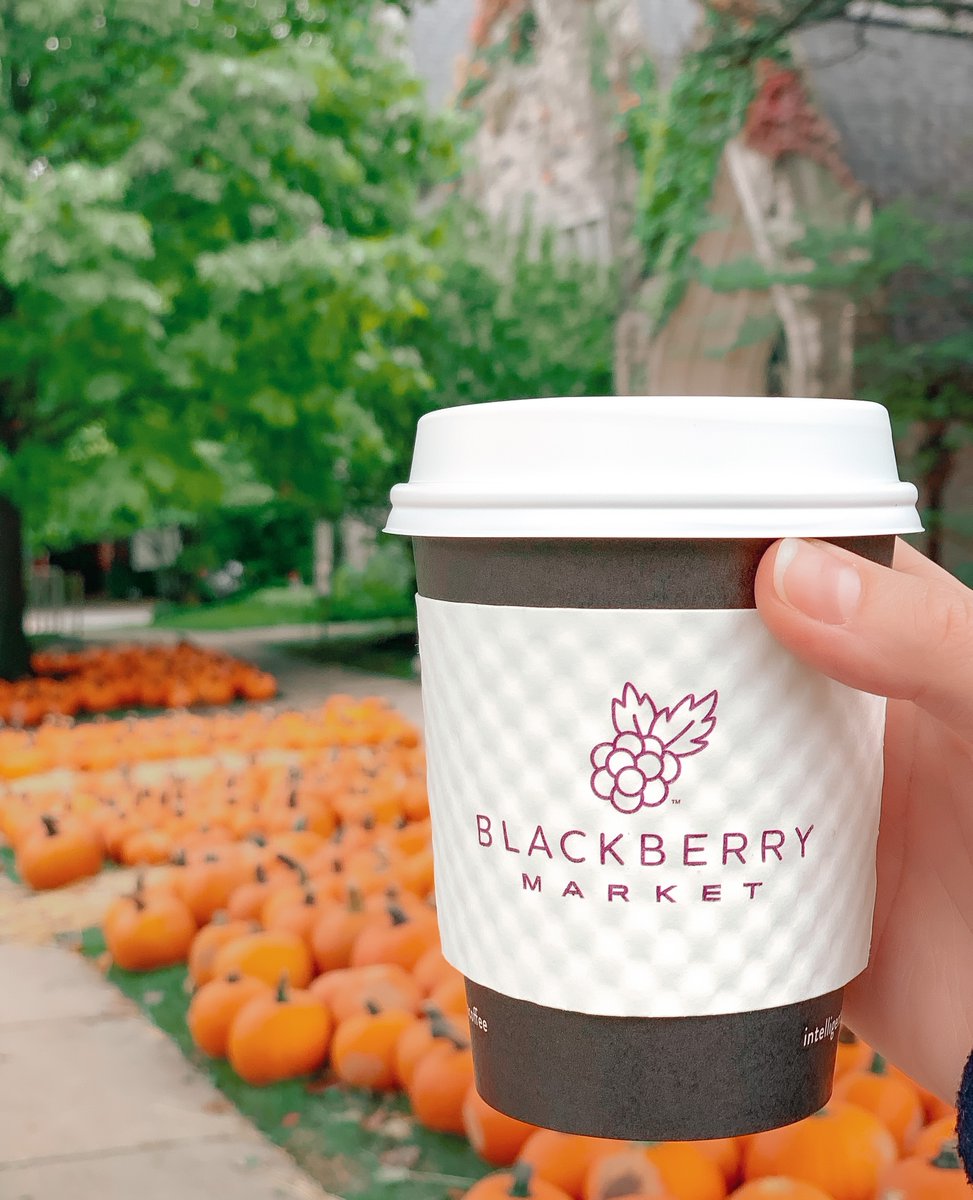 What are our plans for the weekend? Coffee and pumpkin patches....on repeat 🎃 

#tistheseason #blackberrymarket #blackberrymornings #intelligentsiacoffee #glenellyn #lagrange #pumpkinpatches #fallflavoredcoffee