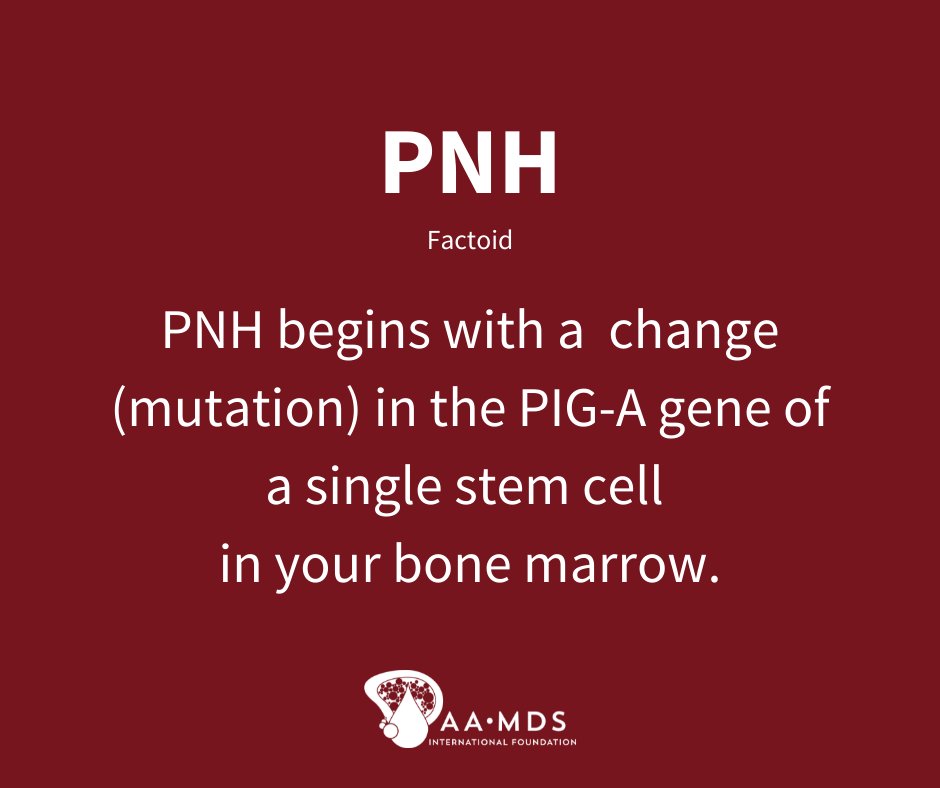 Do you know PNH?
PNH begins where there is a mutation in the PIG-A gene of one stem cell in your bone marrow.
Find out how this happens:
aamds.org/diseases/pnh/c…  #PNHawareness