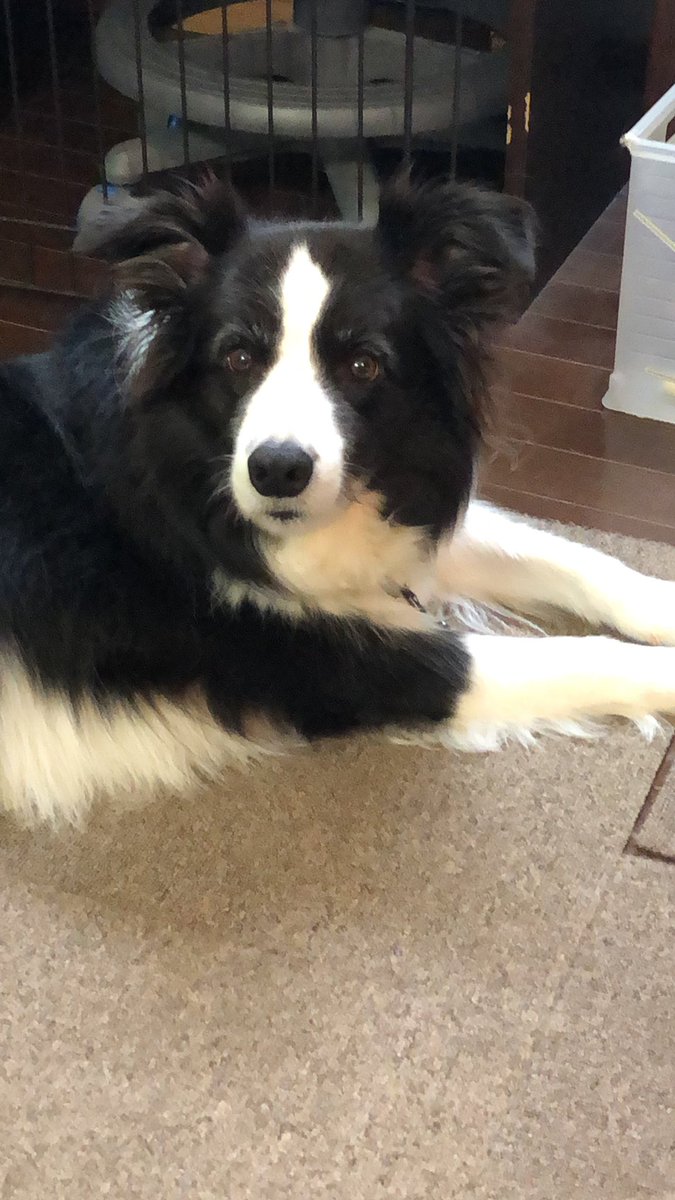 みんなの うお義 口コミ 評判 食べたいランチ 夜ごはんがきっと見つかる ナウティスイーツ