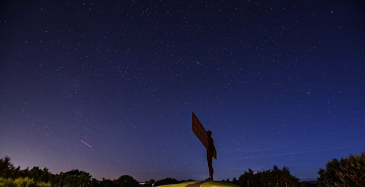 gordon armstrong tweet media